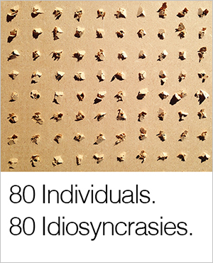 idiosyncrasy
